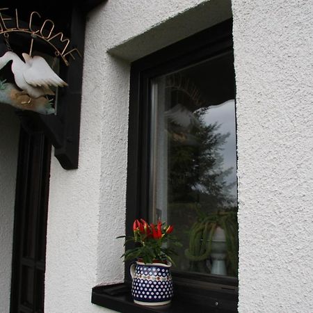 Ferienwohnung Am Steinbachtal 탈레 외부 사진