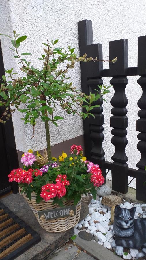 Ferienwohnung Am Steinbachtal 탈레 외부 사진