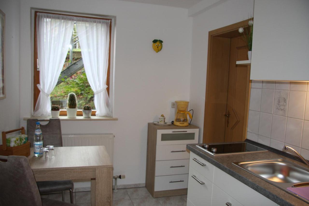 Ferienwohnung Am Steinbachtal 탈레 외부 사진